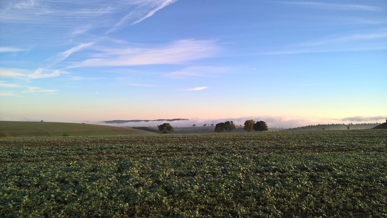 Appartamento Kammbaude Neuhermsdorf Esterno foto
