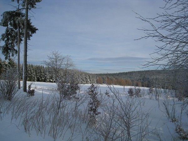 Appartamento Kammbaude Neuhermsdorf Esterno foto