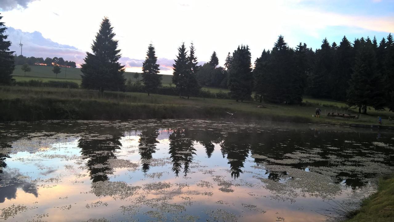 Appartamento Kammbaude Neuhermsdorf Esterno foto